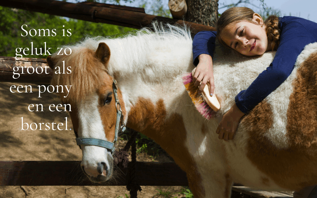 Waarom een beleving met een pony je méér geeft dan zomaar een uitje