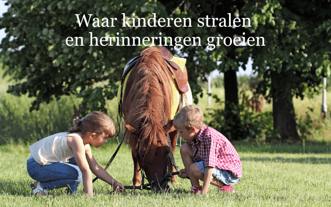Ponyplezier voor het hele gezin, hoe kleine momenten het verschil maken